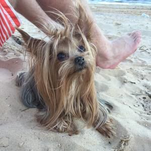 Meet your Posher, Becka